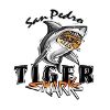 圣佩德罗TigerSharks